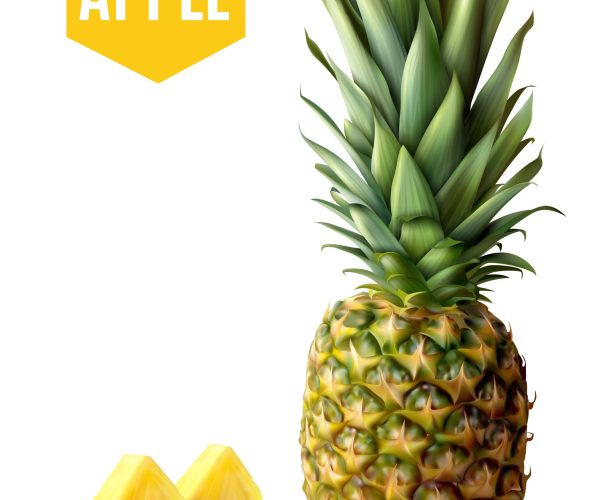 Realistic ripe pineapple and two fresh slices isolated on white background vector illustration