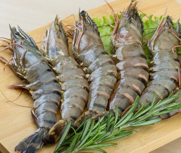 prawn-whole-raw-tigers_590x